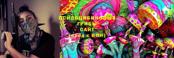 прущая мука Алзамай