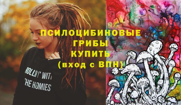 прущая мука Алзамай